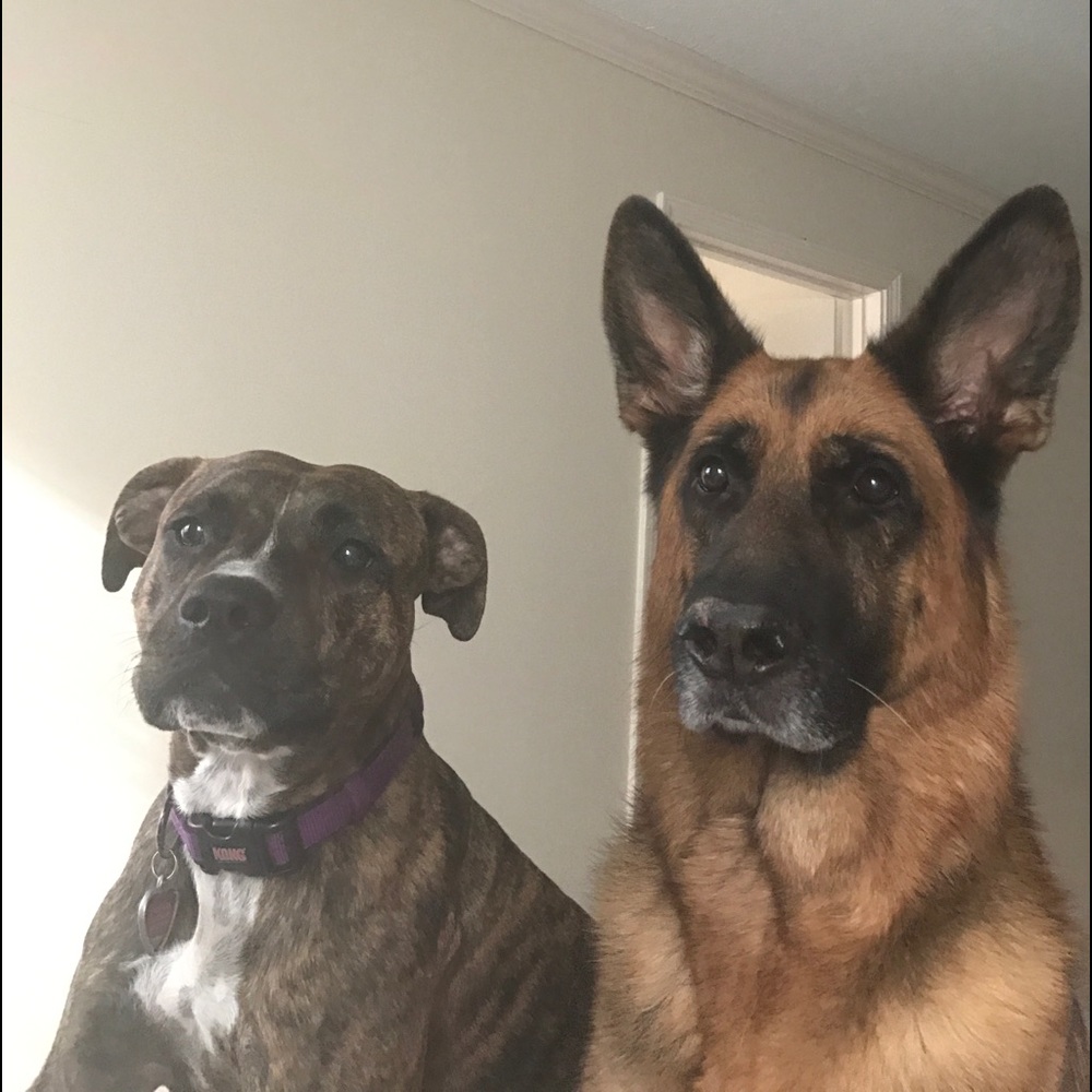 Meet your Posher, Lorna